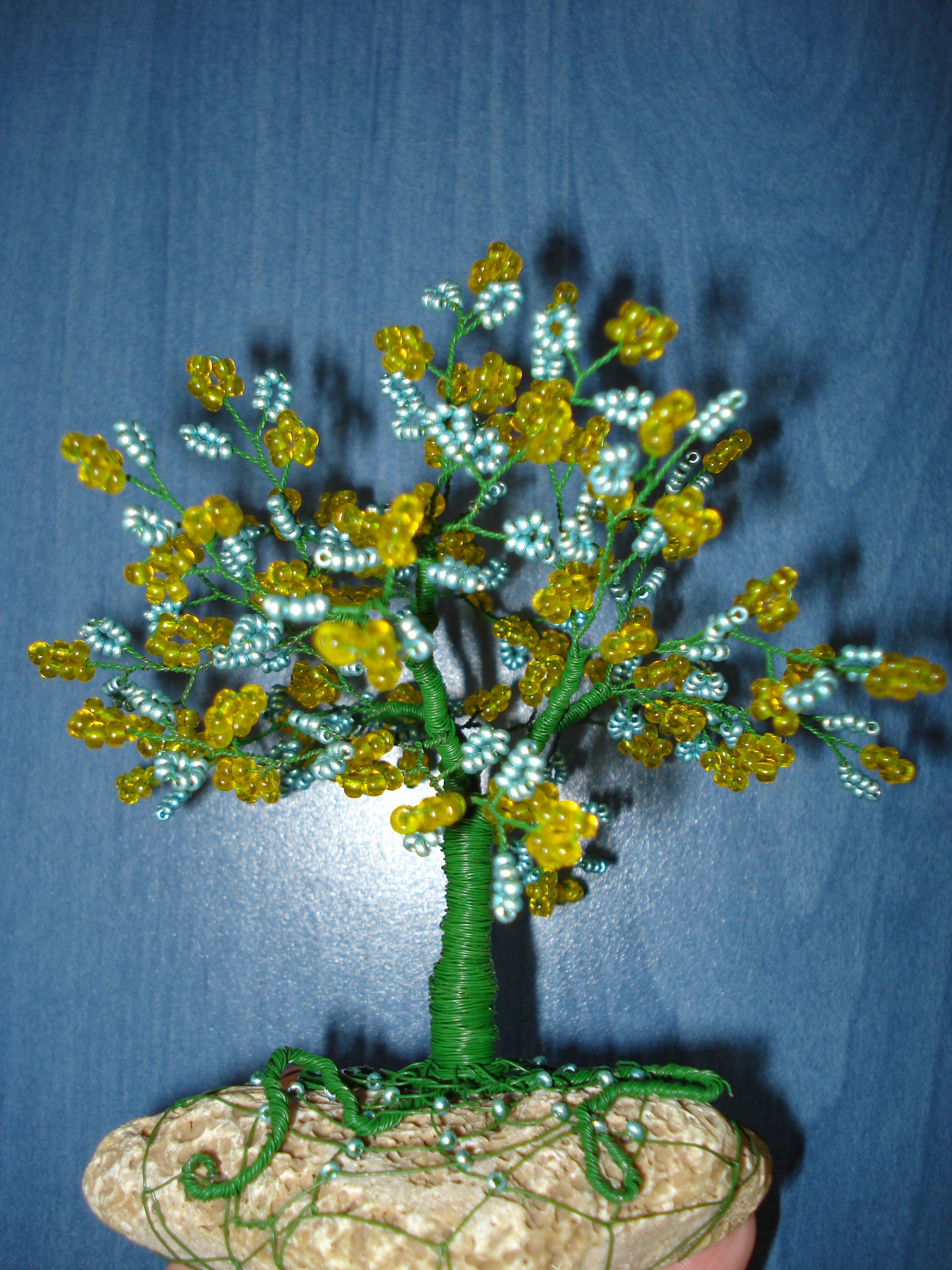 DSC02000